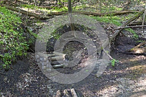 Forest well. well chamber