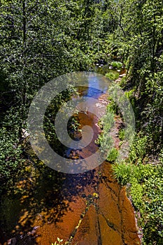 In the forest at West Fork Trail which is in Sedona, Arizona