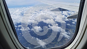 Forest and white clouds