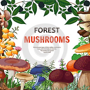 Forest Wild Mushroom Background