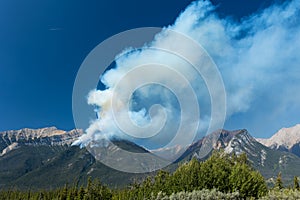 Forest wildfire and smoke on the side of a mountain