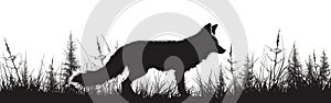 Forest Wildlife Silhouette: Vector Illustration of Chestnut Sorrel Fox Isolated on White Background