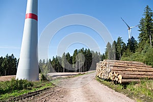forest_windfarm