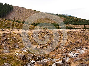 Deforestation environmental problem in Slovak national park