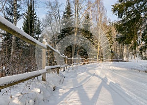 Forest in winter after heavy snowfall. Winter landscape, a day in a winter forest with freshly fallen snow, a country road with a