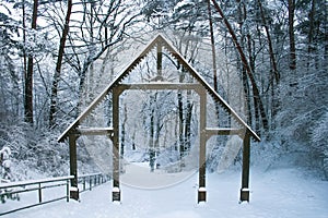 Mysterious wooden door in a forest in winter