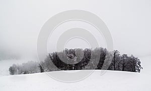 Forest in winter scenery in Semenic, Romania