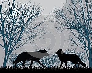 Forest wolves