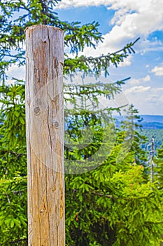 Forest with wooden stake at Brocken mountain Harz Germany