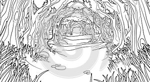 Forest Woodland Trees Path Coloring Book Scene