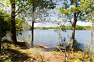 Nature lover shaded tree forest woods hiking trail path