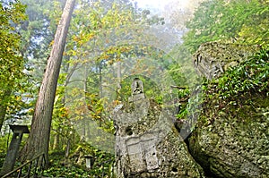 The forest in Yamadera temple