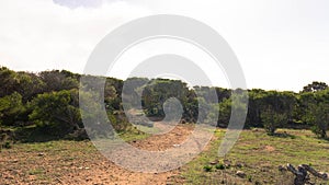 Foresta 2000 nature reserve on Marfa peninsula Malta photo