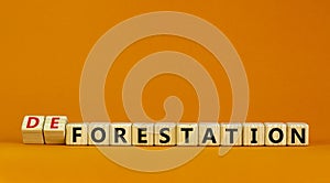 Forestation or deforestaion symbol. Turned wooden cubes and changed the word deforestation to forestation. Beautiful orange