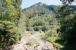 Forestation issues in the mountains