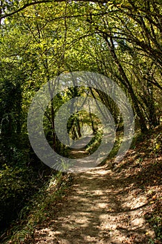 Foreste Casentinesi National Park