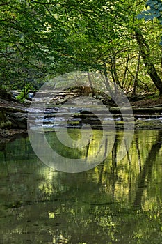 Foreste Casentinesi National Park