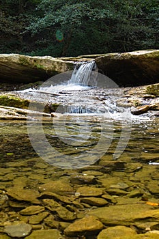 Foreste Casentinesi National Park