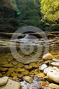 Foreste Casentinesi National Park