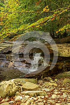 Foreste Casentinesi National Park