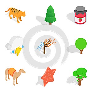 Forested area icons set, isometric style