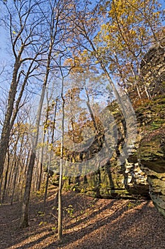 Forested Bluffs in the Fall