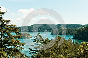 Forested Coastline with Islands photo