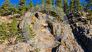 Forested Granite Cliffs Above Spring Creek,