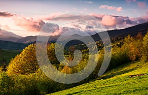 Forested hill at cloudy sunset in springtime