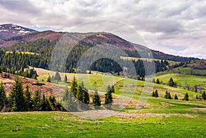 Forested hills of Borzhava mountain ridge