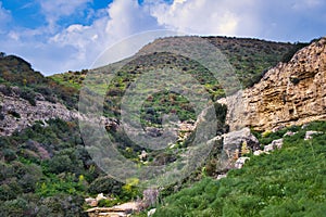 Forested hills and gorge in the mountains of Cyprus