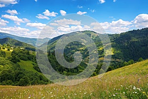 forested hills and grassy meadows on rolling hills