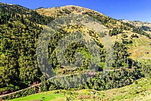 Forested hills in highlands of Guatemala