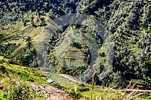 Forested hills in highlands of Guatemala