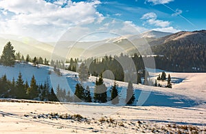 Forested hills of mountain ridge in winter