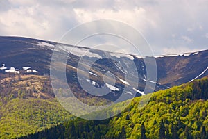 forested hills of mountainous countryside in spring