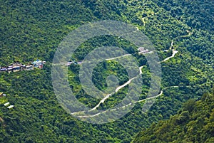 Forested hillside and roads