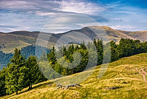 Forested hillside of Svydovets mountain ridge