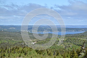 Forested landscape and ocean inlet under cloudy sky in Newfoundland