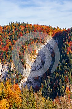 Forested mountain with cliff in autumn