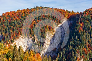 Forested mountain with cliff in autumn photo