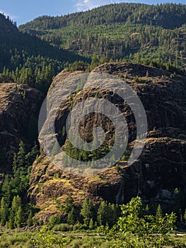 Forested mountain cliffs