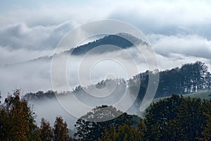 Forested mountain in the clouds