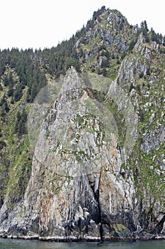 Forested mountain on coast photo