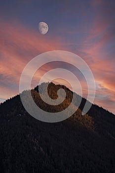 Forested mountain peak with moon at sunset