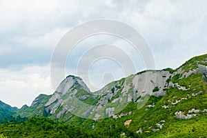 Forested mountain range photo