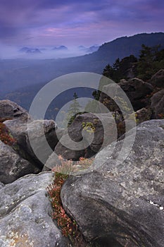 Forested mountain range behind a rocky peak