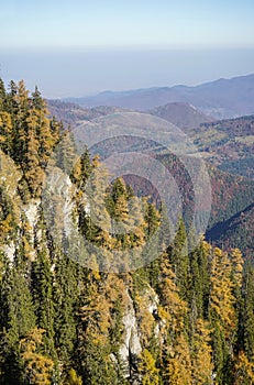 Forested mountain ridges of the Carpathian mountains