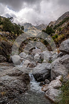 Forested mountain slope in low lying cloud of scenic landscape view with a trail of meltwater running through big rocks