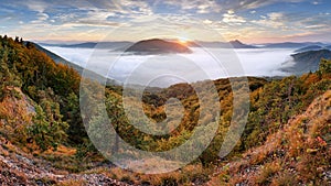 Forested mountain slope in mist in a scenic landscape.